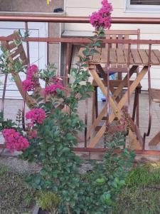 Къща за Гости "Прохлада"