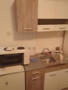 Apartman Djordjevic