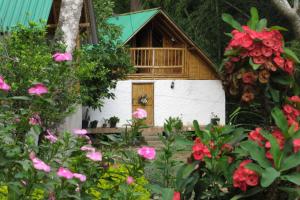 Alojamiento rural Ecoparque La Motilona Paicol, Huila - Cabaña la Motilona
