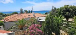 Gajac Sea view - Gajac