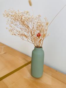 Appartements Orleans proche bord de Loire - Appartement 2 chambres avec grand balcon - Le Panoramique Orleanais : photos des chambres