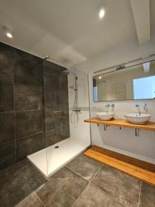 Penthouse with big terrace