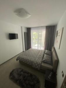 BPK Alezzi Holiday Mamaia Nord 45