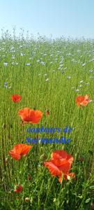 Maison à la campagne