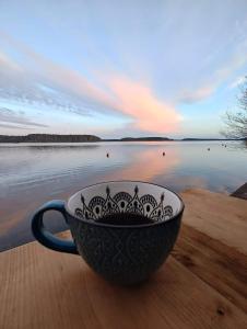 Zakątek Wdzydze z widokiem na jezioro -domek nr 19