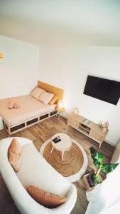 Le studio Dunois - 萨兰