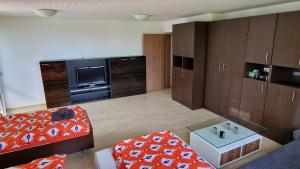 Apartmán ve vile Soňa pláž u Vrbiček