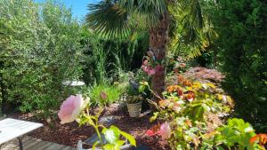 Maisons de vacances studio mil roses : photos des chambres
