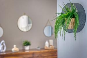 Appartements Le Berriat - Gare - Palais de Justice : photos des chambres
