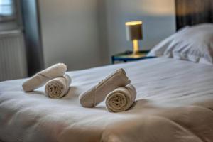 Appartements Le Berriat - Gare - Palais de Justice : photos des chambres