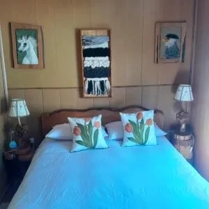 cabaña vista hermosa neltume - 富伊港