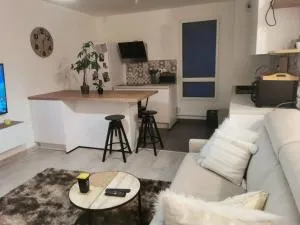 Appartement charmant à Viroflay avec terrasse & parking - 沙维勒
