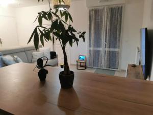 Appartements Appartement charmant a Viroflay avec terrasse & parking : photos des chambres