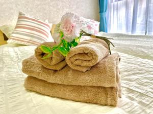 J5-東京中心 駒込駅4分近商业街 4mins to ST Max 4P 直达新宿 渋谷 表参道 池袋 上野 代代木 銀座 原宿