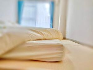 J5-東京中心 駒込駅4分近商业街 4mins to ST Max 4P 直达新宿 渋谷 表参道 池袋 上野 代代木 銀座 原宿