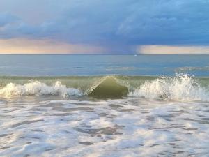 Appartements Appartement lumineux avec balcons et stationnement privatif - FR-1-788-22 : photos des chambres
