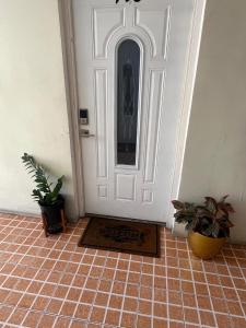 Cozy Stylish Apt New Kingston