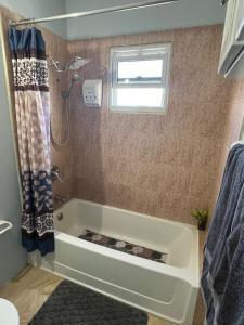 Cozy Stylish Apt New Kingston