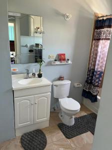 Cozy Stylish Apt New Kingston