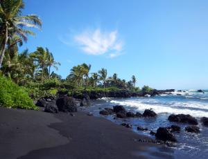 Hana Kai Maui - #201 Honokalani - oceanview 1 BR
