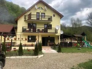 Pensiunea Alma Lepsa - Mătăcina