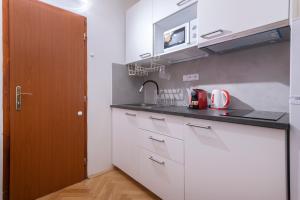 Historic Spirit at Studio under the Prague Castle