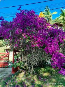 Casa Bosque das Pedras