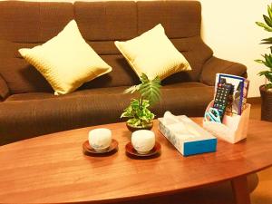 Kyoto Nijo Traditional House