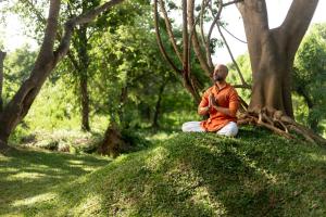 Ayugiri Ayurveda Wellness Resort Sigiriya