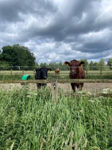 Magasinet - Cozy farmstay near forest & lake