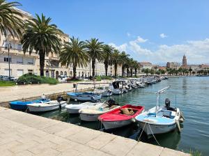 Apartman vintage bossanova