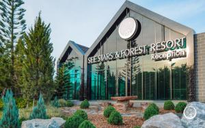 See Stars & Forest Resort