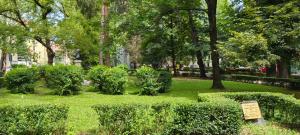 Apartament Central Mamarutza