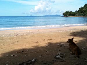 Bonhomie Beach Cottage