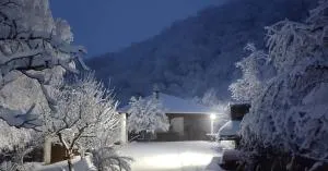 Nedovića Potok - Mutanj