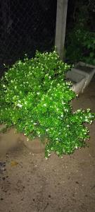 Holiday Home Ragama
