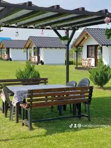 Roza Vânturilor - Bacău