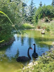 Апартамент Релакс в Слънчев бряг Cascadas 3