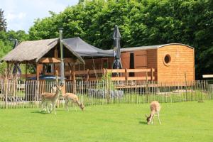 La Roulotte d'Ala-Daims