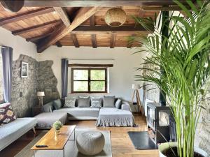 CANGAS DE ONIS RURAL HOUSE WITH VIEWs