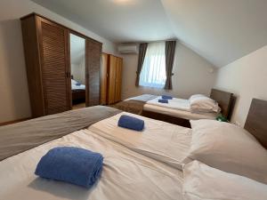 Apartments Vila Leska 