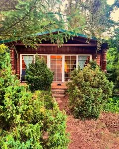 Holzhaus Bärenhöhle am Wald und See - Wulkow