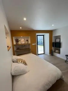 Charmant studio au calme sur les hauteurs d'Annecy - 普令基