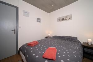 Maisons de vacances Le Gite des 3000 avec Spa : photos des chambres