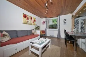 Le Gîte des 3000 avec Spa - 莱卡巴讷