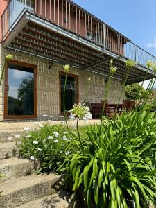 Casa das Castanhas - Cinfães, Viseu