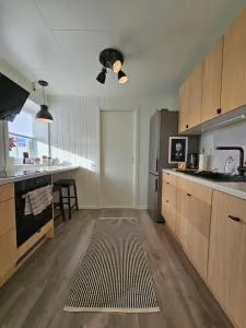 Bright and modern apartment with beautiful view - Hasvik