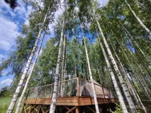 Käkiniitty Glamping Cuckoo Camp - Pihtikoski