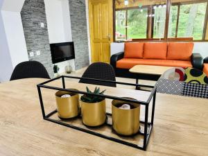 Вила Данели