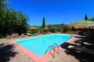 La Montanina - Polvano